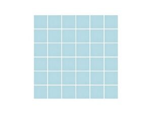 aquatic center mosaic tile perth10