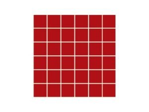 aquatic center mosaic tile perth11