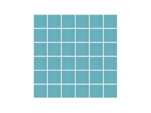 aquatic center mosaic tile perth15