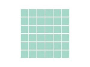 aquatic center mosaic tile perth22