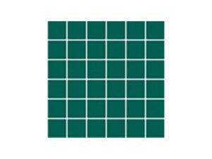 aquatic center mosaic tile perth23