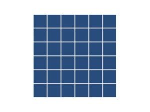 aquatic center mosaic tile perth24