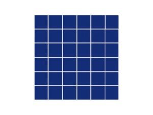 aquatic center mosaic tile perth26