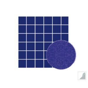 aquatic center mosaic tile perth28