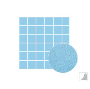 aquatic center mosaic tile perth44