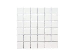 aquatic center mosaic tile perth7