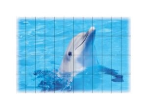 murial commercial pool tiles11