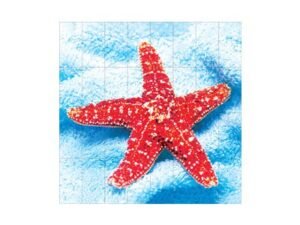 murial commercial pool tiles4